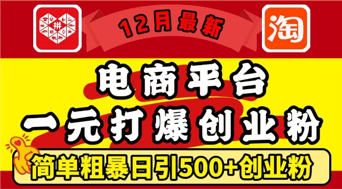 （第13955期）12月最新：电商平台1元打爆创业粉，简单粗暴日引500+精准创业粉，轻松月入过W