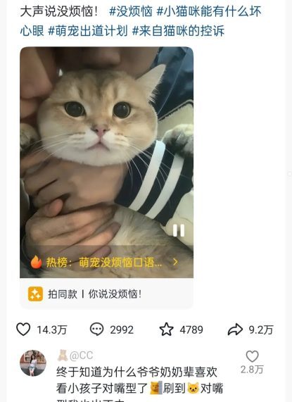 一天收入50+，猫猫开口说话，人人可做