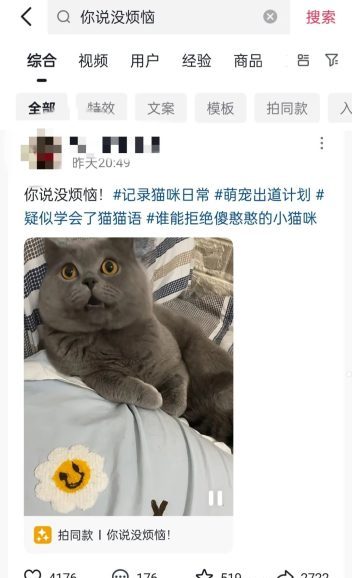 一天收入50+，猫猫开口说话，人人可做